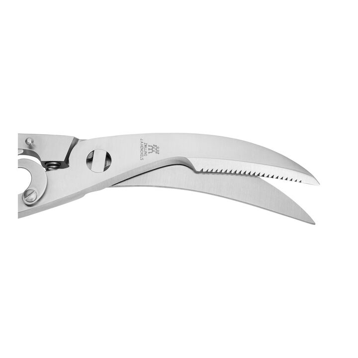 24 cm Stainless steel Poultry shears, large 3