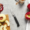 FOUR STAR, 2 Piece, Knife set, small 7