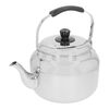 Specialties 3, 20 cm 18/10 Stainless Steel Kettle silver, small 6