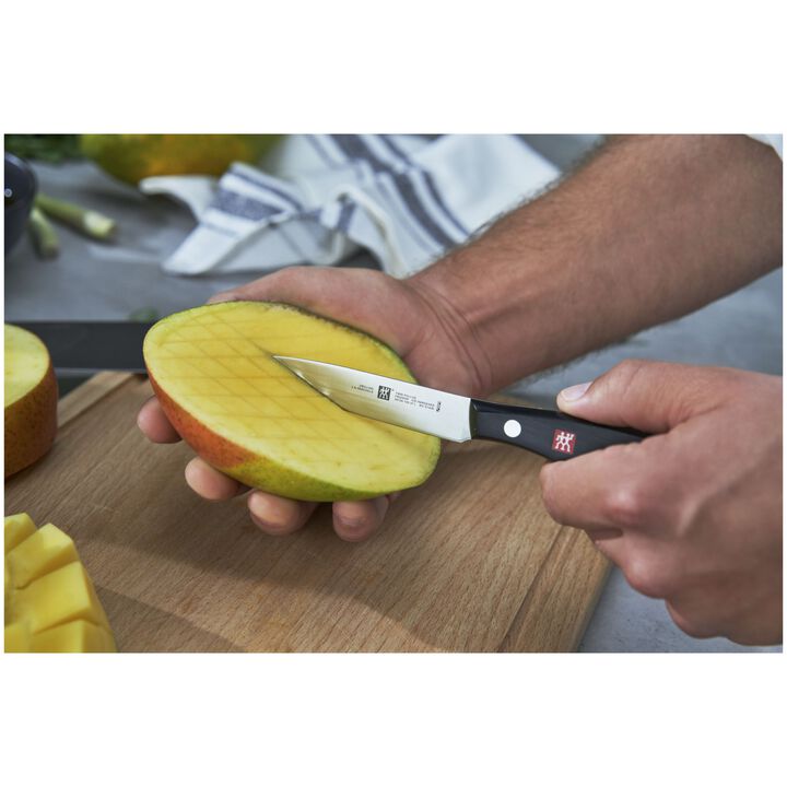 TWIN Pollux, Cuchillo puntilla 10 cm, large 4