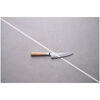 KOYA 4000FCv2, Shotoh 14 cm, small 4
