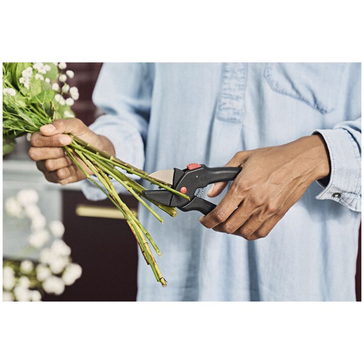 6.5-inch, Pruning Shears, large 2