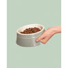 Ceramique, Pet Bowl 400 ml, ceramic, eucalyptus, small 4