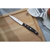 TWIN Pollux, Cuchillo puntilla 10 cm, small 2