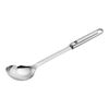 Pro Tools, Serving Spoon, small 1