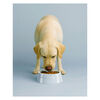 Ceramique, Pet Bowl 400 ml, ceramic, light blue, small 4
