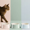 Ceramique, Pet Bowl 400 ml, ceramic, light blue, small 10