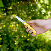 Outdoor, 3-inch, Landman Sodbuster Folding Pocket Knife, Yellow, small 4