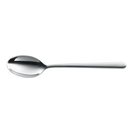 Cucchiaio, 20 cm, 18/10 acciaio inossidabile