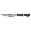 Tanrei, 10 cm Paring knife, small 1