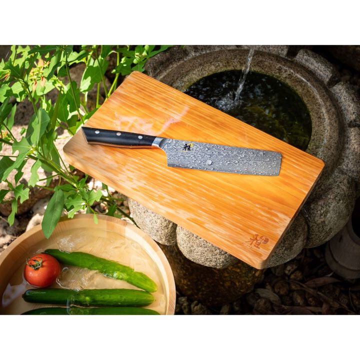 HIBANA 800DP, Nakiri 17 cm, large 2