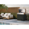 Flammkraft Model D, Natural gas grill, Matte Black, small 22