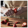 Pro, 2.75 inch, Bird's Beak Peeling Knife, small 2