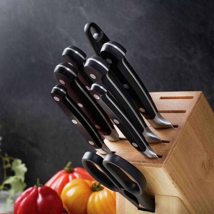 Professional S, 10-pc, Knife block set, Natural, large 3