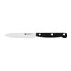 TWIN Gourmet, Spelucchino liscio - 10 cm, small 1