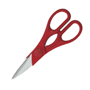 ZWILLING TWIN